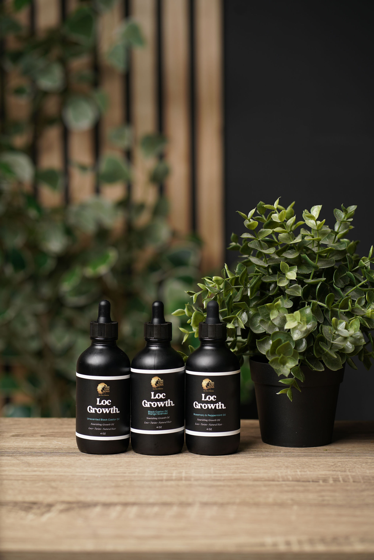 GROWTH OIL COLLECTION