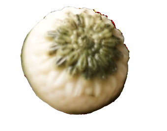 Shampoo Bar - Rosemary Mint